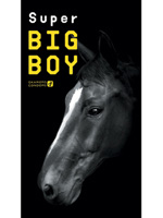 【癒しフル】 スーパービッグボーイ 12個入り｜condom0117