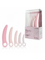 【癒しフル】 Inspire シリコンダイレーター 5本セット｜storeago003498ugf9d03xy