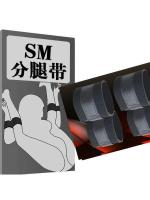 【癒しフル】 SMグッズ 手足固定ベルト 手足固定枷 手枷 足枷 開脚枷 拘束具 縛り ベルト 調教開脚 大人のおもちゃ F682｜storeago00392rbzo483v4p